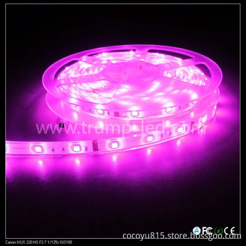 RGB Flash 5050 SMD LED Strip Light